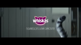 Spot Tv Annunci Tv Di Whiskas Degli Ultimi 1 Giorni