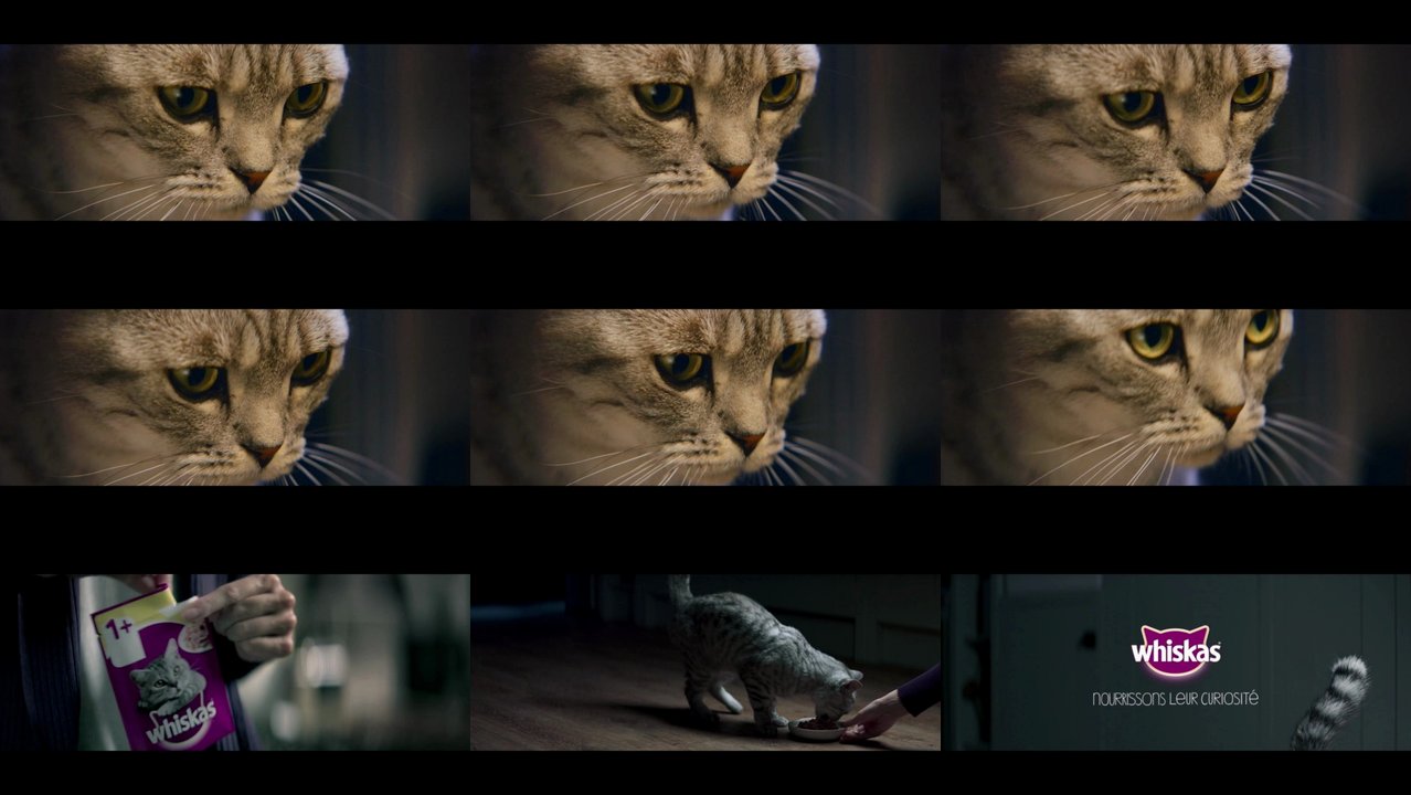 Tv Spots Tv Werbung Von Whiskas Der Letzten 120 Tage